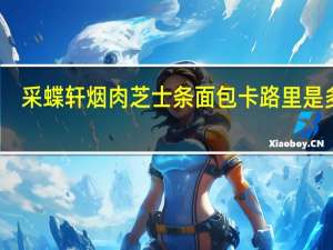 采蝶轩 烟肉芝士条面包卡路里是多少