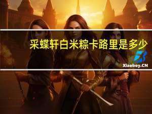 采蝶轩 白米粽卡路里是多少