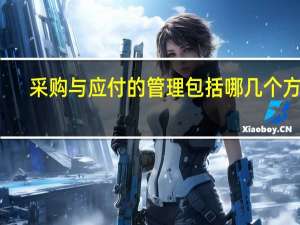 采购与应付的管理包括哪几个方面