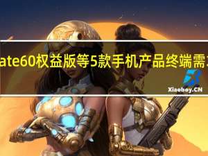 采购华为Mate60权益版等5款手机产品终端需求数量为120万台