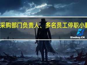 采购部门负责人、多名员工停职 小鹏汽车：正常反腐 不影响生产