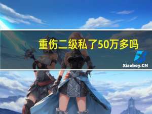重伤二级私了50万多吗