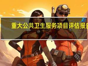 重大公共卫生服务项目评估报告（项目评估报告）