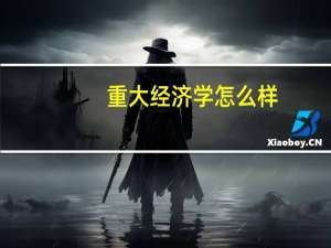 重大经济学怎么样