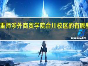 重师涉外商贸学院合川校区的有哪些专业