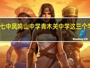 重庆七中 凤鸣山中学 青木关中学这三个学校怎么样,重点班哪个学校好,