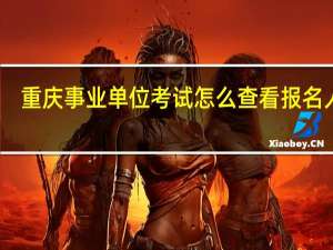 重庆事业单位考试怎么查看报名人数