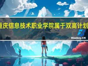 重庆信息技术职业学院属于双高计划院校吗