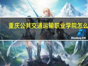 重庆公共交通运输职业学院怎么样