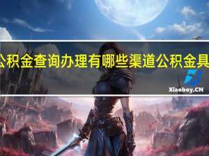 重庆公积金查询办理有哪些渠道　公积金具体查询方式