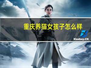 重庆养猫女孩子怎么样