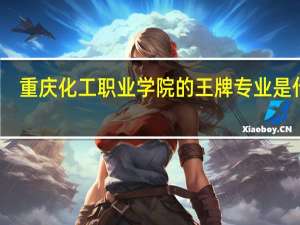 重庆化工职业学院的王牌专业是什么