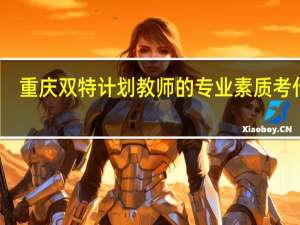 重庆双特计划教师的专业素质考什么