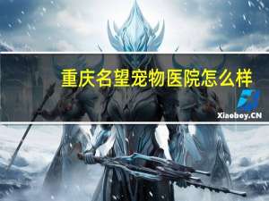 重庆名望宠物医院怎么样