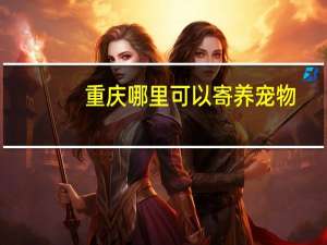 重庆哪里可以寄养宠物