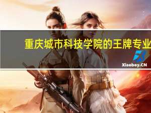 重庆城市科技学院的王牌专业