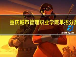 重庆城市管理职业学院单招分数