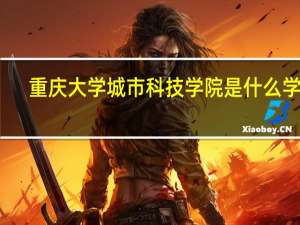 重庆大学城市科技学院是什么学校