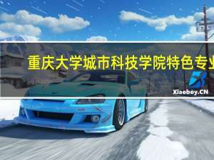 重庆大学城市科技学院特色专业