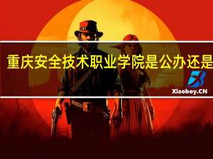 重庆安全技术职业学院是公办还是民办