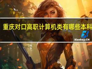 重庆对口高职计算机类有哪些本科学校