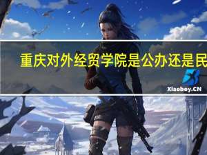 重庆对外经贸学院是公办还是民办
