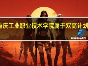 重庆工业职业技术学院属于双高计划院校吗
