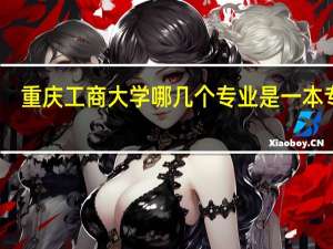 重庆工商大学哪几个专业是一本专业