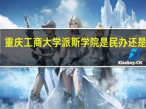 重庆工商大学派斯学院是民办还是公办