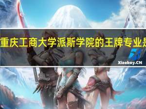 重庆工商大学派斯学院的王牌专业是什么