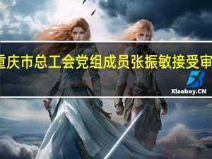 重庆市总工会党组成员张振敏接受审查调查