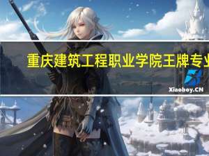 重庆建筑工程职业学院王牌专业