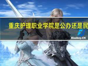 重庆护理职业学院是公办还是民办