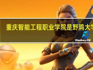 重庆智能工程职业学院是野鸡大学吗
