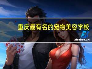 重庆最有名的宠物美容学校