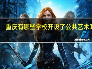 重庆有哪些学校开设了公共艺术专业