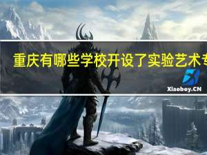 重庆有哪些学校开设了实验艺术专业
