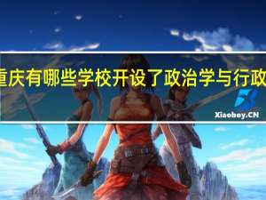 重庆有哪些学校开设了政治学与行政学专业