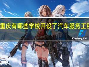 重庆有哪些学校开设了汽车服务工程专业