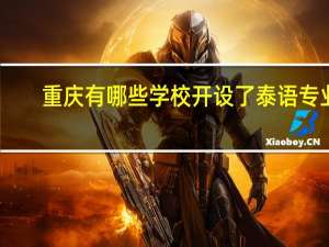 重庆有哪些学校开设了泰语专业