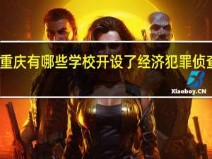 重庆有哪些学校开设了经济犯罪侦查专业