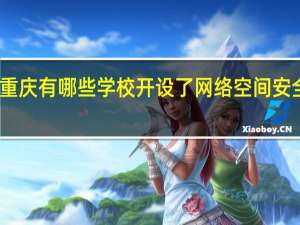 重庆有哪些学校开设了网络空间安全专业