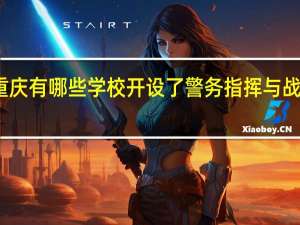重庆有哪些学校开设了警务指挥与战术专业
