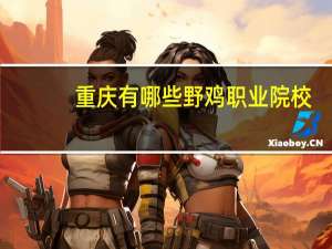 重庆有哪些野鸡职业院校