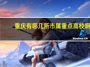 重庆有哪几所市属重点高校啊