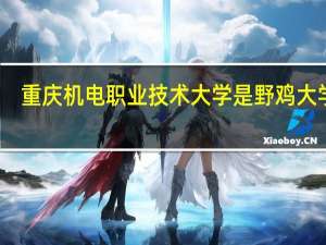 重庆机电职业技术大学是野鸡大学吗
