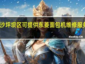 重庆沙坪坝区可提供东菱面包机维修服务地址在哪