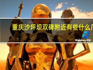 重庆沙坪坝双碑附近有些什么厂，稍微好点的