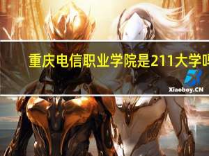 重庆电信职业学院是211大学吗