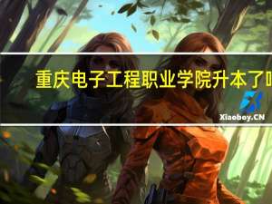 重庆电子工程职业学院升本了吗